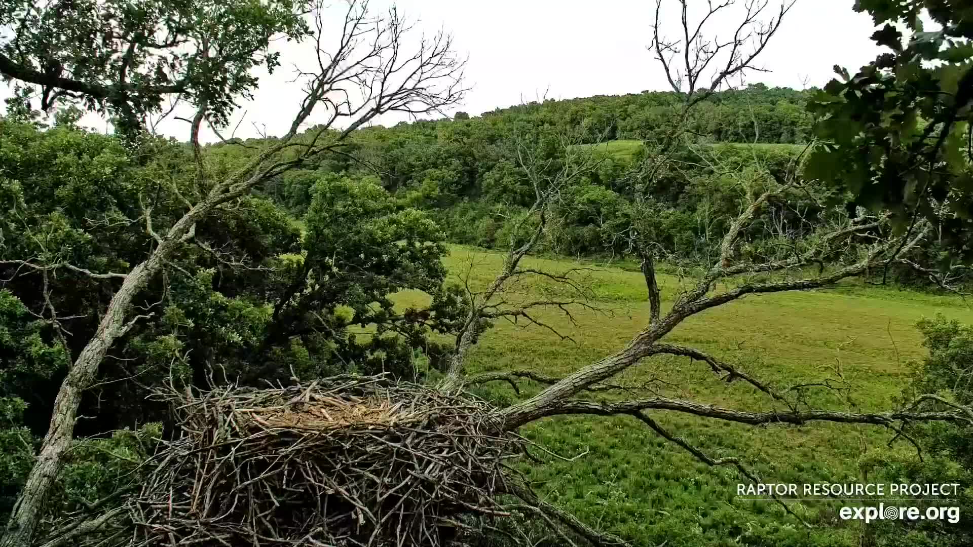 DECORAH NORTH EAGLES visual data 2