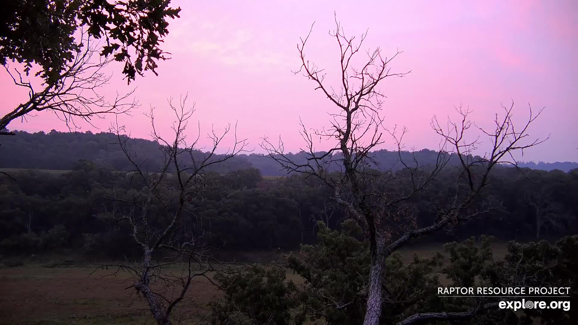 DECORAH NORTH EAGLES visual data 7