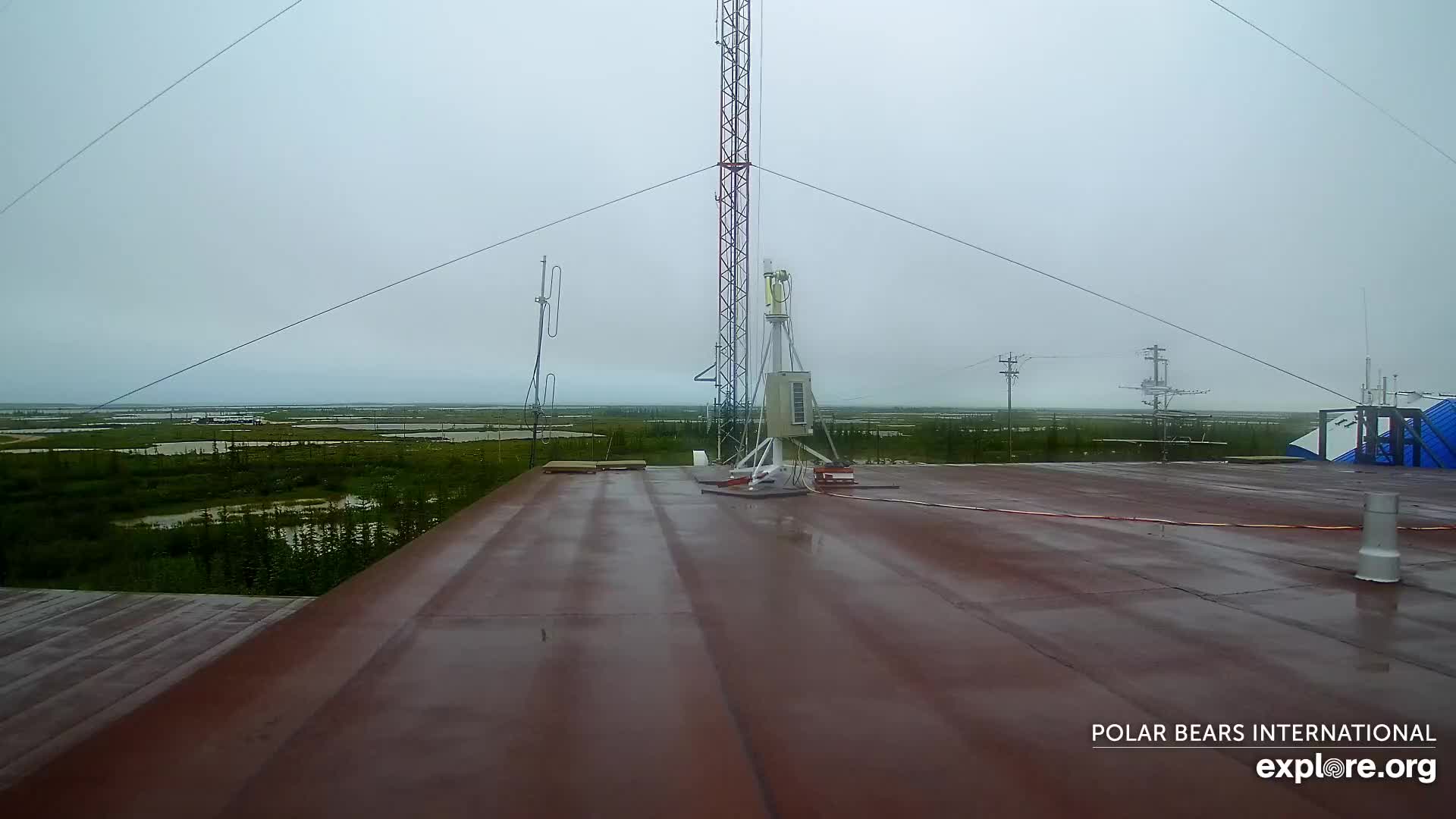 Aurora Borealis Northern Lights Snapshot taken by macskalenzgmail