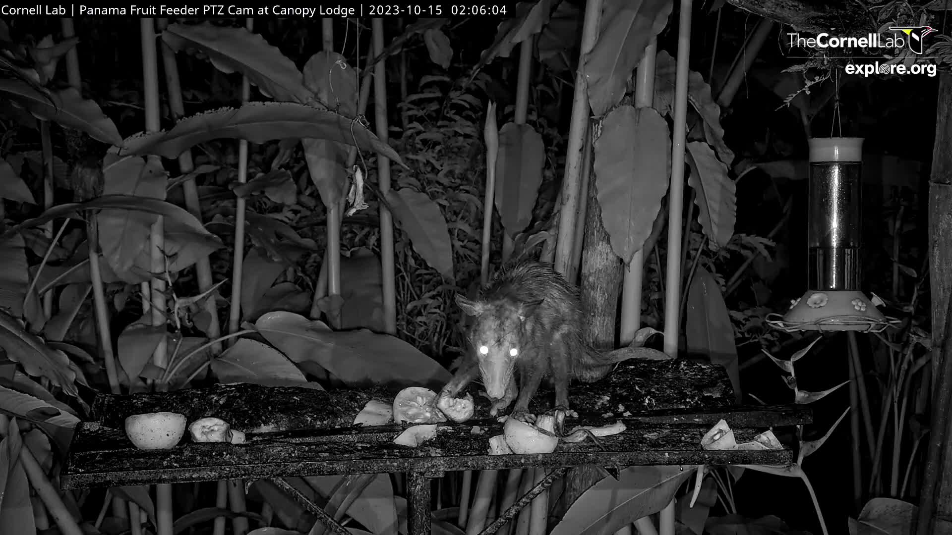 Panama intelligence overview