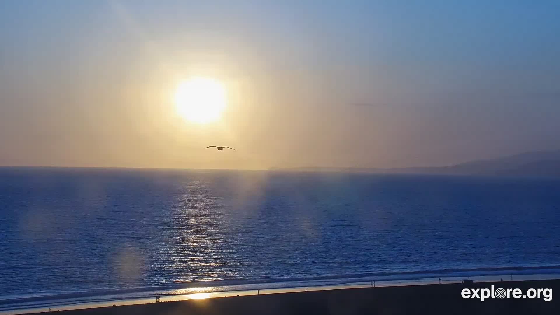 SANTA MONICA BEACH CAM visual data 2
