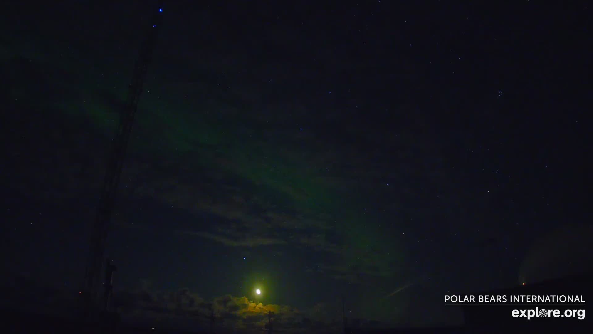 Aurora Borealis Northern Lights Snapshot taken by macskalenzgmail