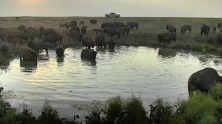 Bet the people in the truck are really getting a great view, pic