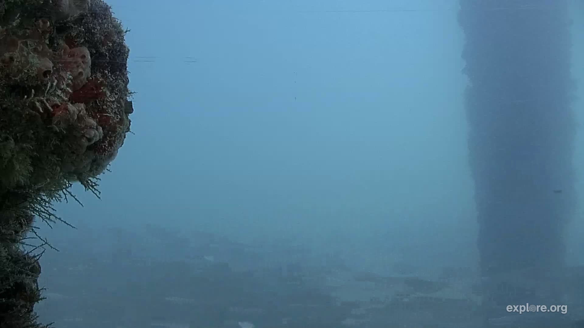 Deerfield Underwater Cam Snapshots