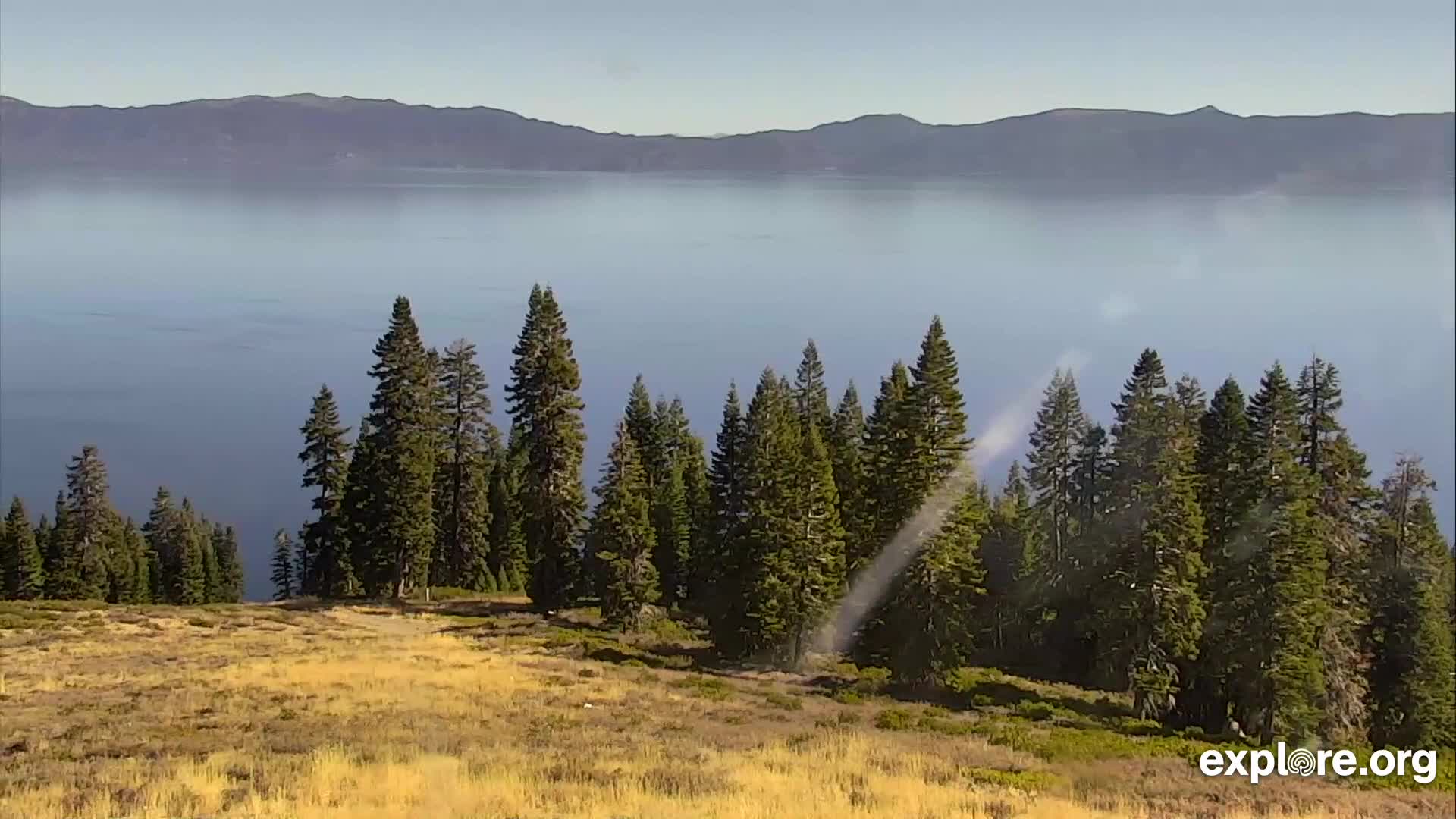 Lake Tahoe Homewood Mountain Snapshot Taken By Jdy4wildlife Explore Org   20191116T190721 3062913.ts 