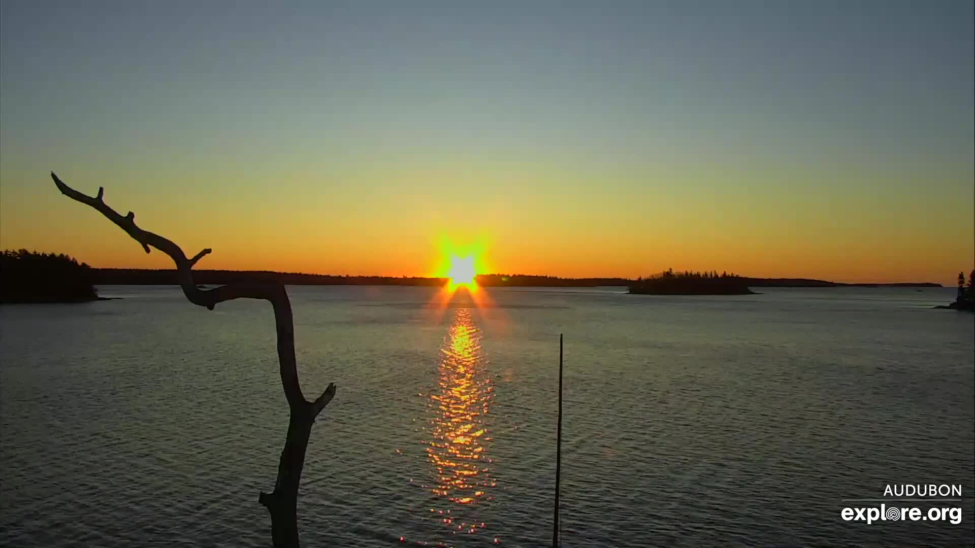 Audubon Osprey Boat House Snapshot taken by choclabs - Seabrook, NH ...