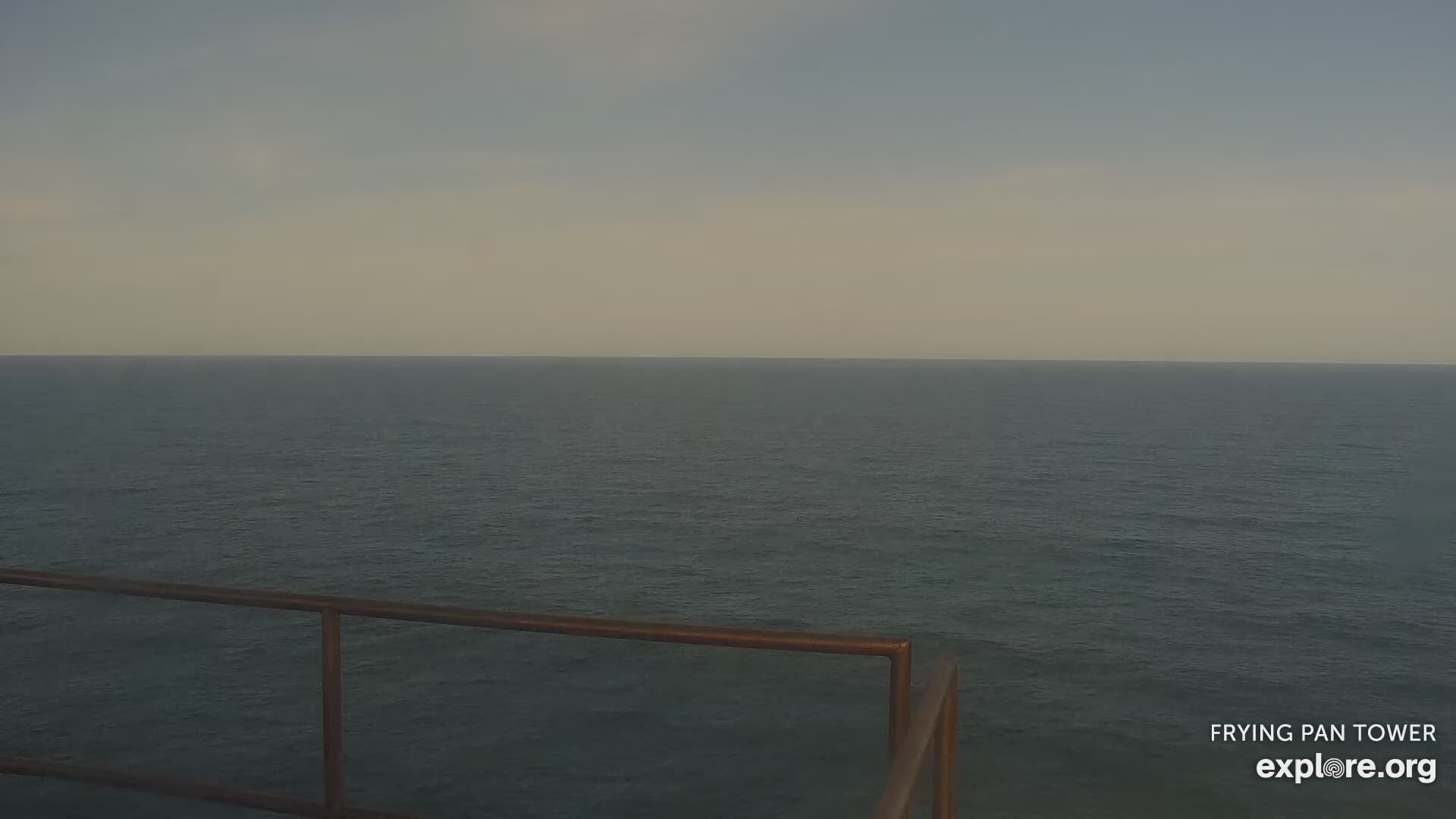 Shark Cam - Live underwater webcam of sharks | Explore.org